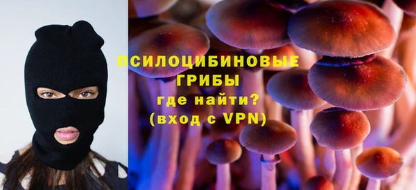 PSILOCYBIN Тавда