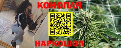 гидра Балашиха