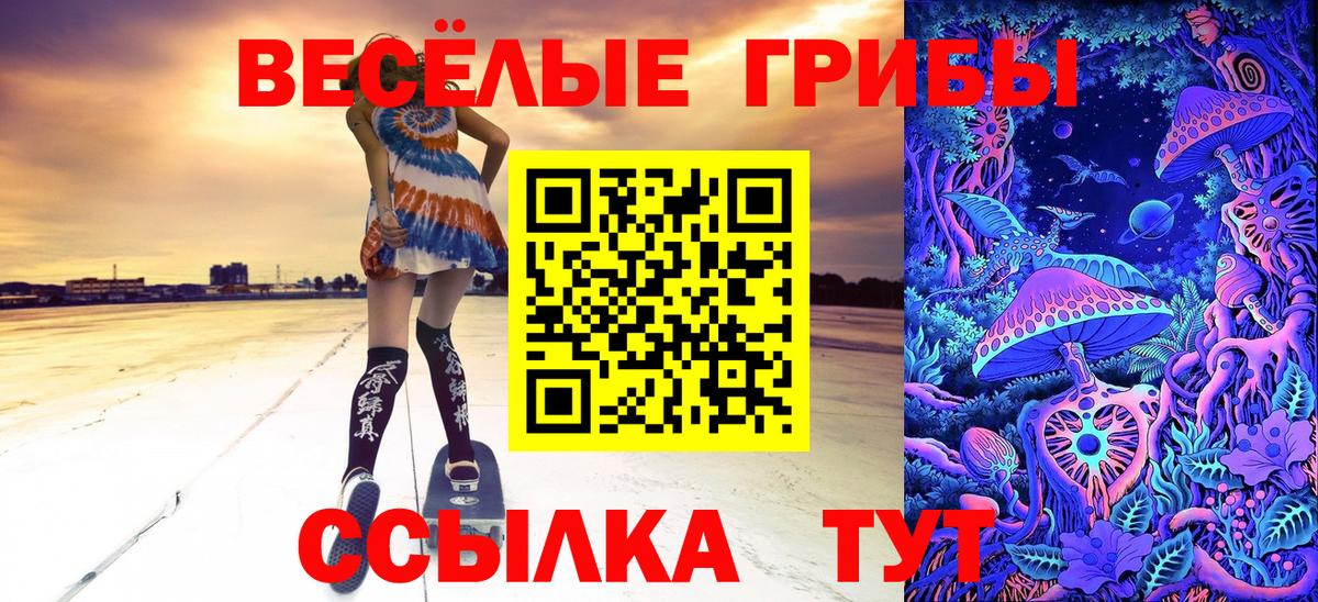 Березники  магазин продажи наркотиков  Вход с VPN  Галлюциногенные грибы мицелий 